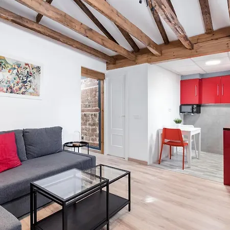 Estupendo En El Centro De Apartamento Madri