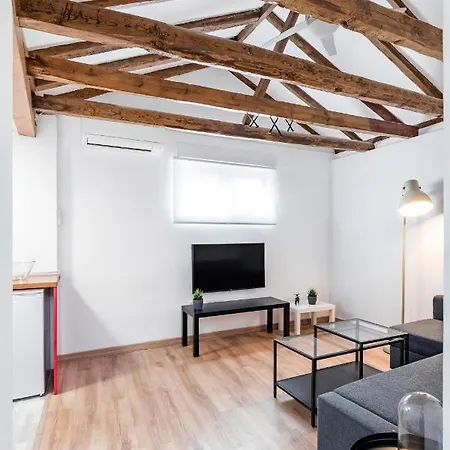 Estupendo En El Centro De Apartamento Madri