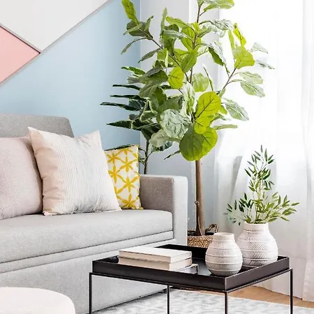 Color By Olala Homes