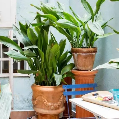 Cosy In The Heart Of Barrio De Letras *
