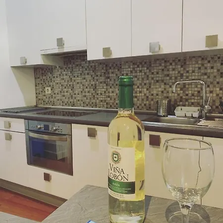 Apartamento De Lujo Ii En Centro 아파트 *