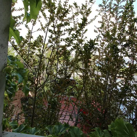 Paraiso Coliving