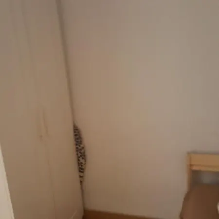 Daily House
