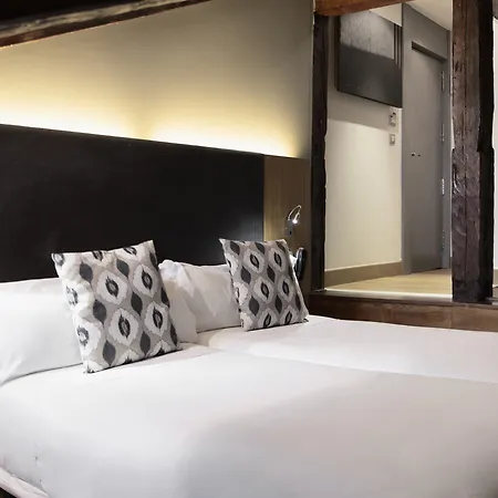 Hotel Petit Palace Plaza Del Carmen Madryt