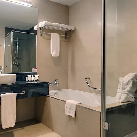 Crowne Plaza Airport Hotell Madrid