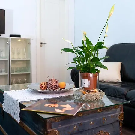 Modern And Neoclassical Flat *