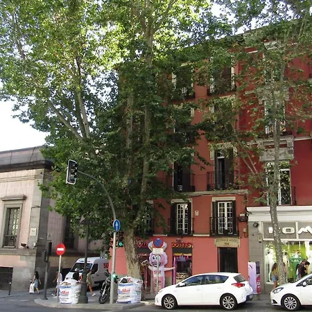 Mollo * Madrid