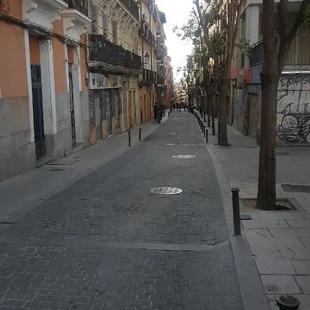Daily House * Madrid