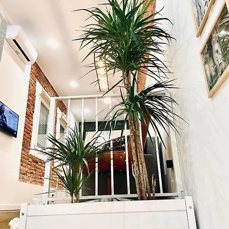 G18_apartamento 8 Con 3 2 Banos En Chamberi Apartamento