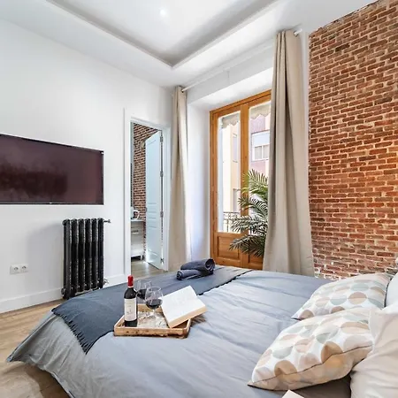 Lejlighed Premium La Latina Madrid