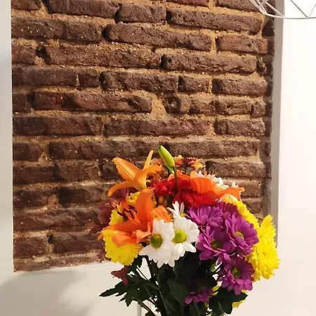Atocha Apartamento *