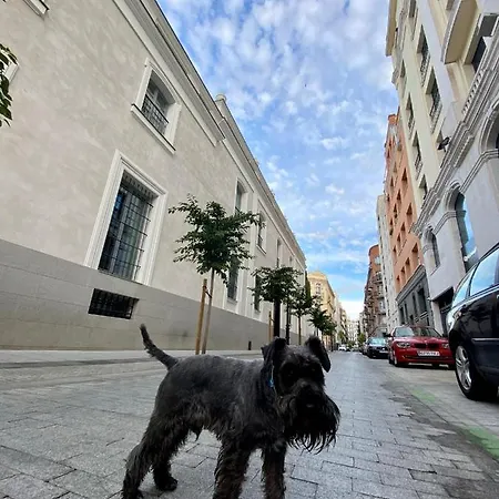 Homestay Sharing La Justicia Madrid