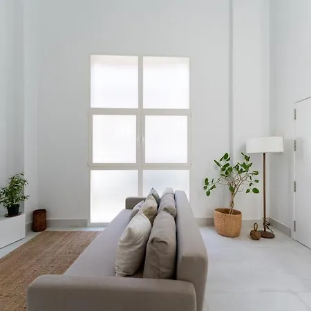 Loft In The Madrid