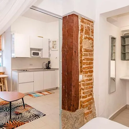 Apartament Lovely In La Latina Plaza Mayor *
