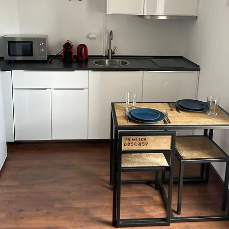 Estudio Con Terraza Ibiza-retiro I Homestay Madrid