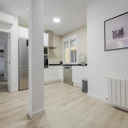 Apartment Elegante Apartamento En El Centro De Madrid-rastro *