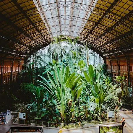 The Loft House Hostel Madrid