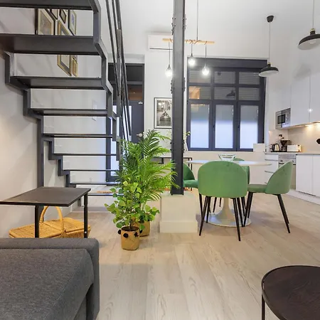 Bernabeu Loft En Apartment Madrid