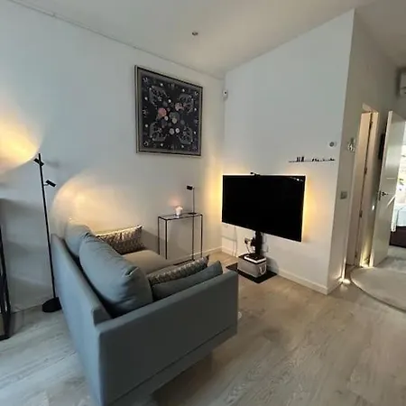Piso De Lujo Con Patio Y Piscina Privada * Madrid