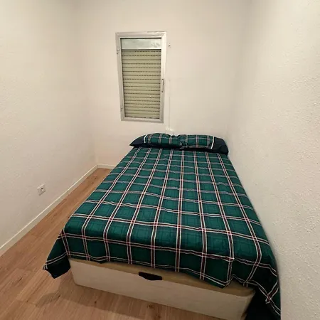 Basic Madrona Madrid