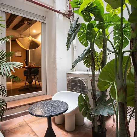 Appartement Zinc *