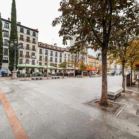 Spacious 3 Bedroom In Centro Madrid