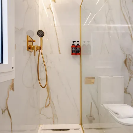 Apartment Luxury & Exclusive Salamanca 10 Pax