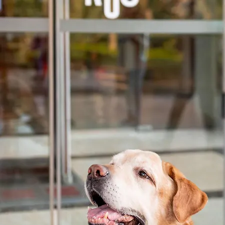 Ibis Calle Alcala Отель Мадрид