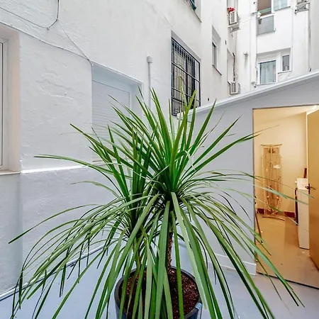 Stylish 5br Flat With Terrace Apartment Madrid
