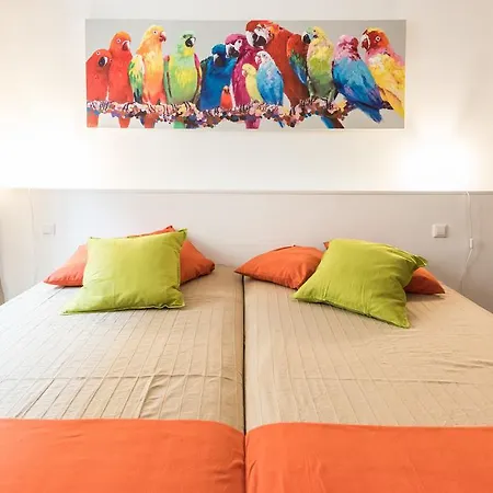 Apartamento La Paz Apartment