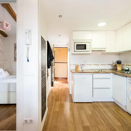 Plaza De Las Comendadoras City Center Apartment Madrid