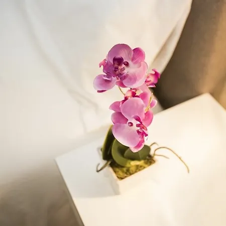 Apartamento Catedral De La Almudena 3*