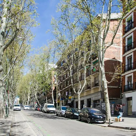 Rodas Madrid