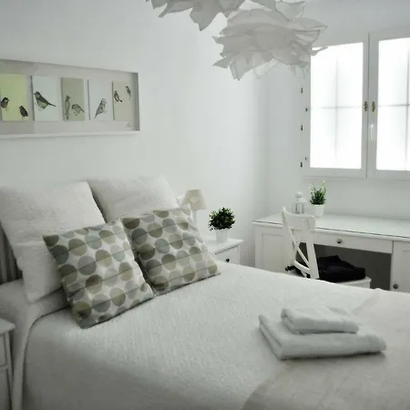 Apartament The Viking House In The Center Of Madrid. Wifi. *