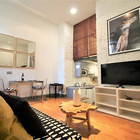 Appartement Duplex Ronda Atocha *
