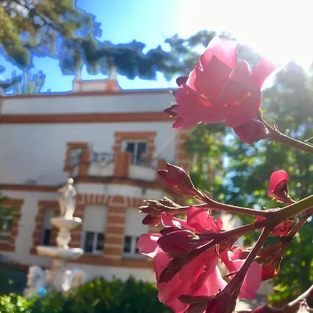 Olivos *