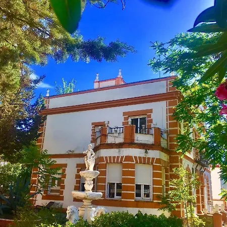 Olivos Madrid