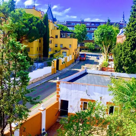 Olivos Madrid