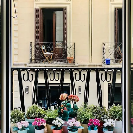 Beautiful And Comfortable Flat In Center Of *