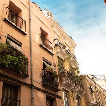 Minty - Andres Borrego Apartment *