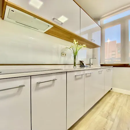 Charming La Casa De La Castellana Apartment Madrid