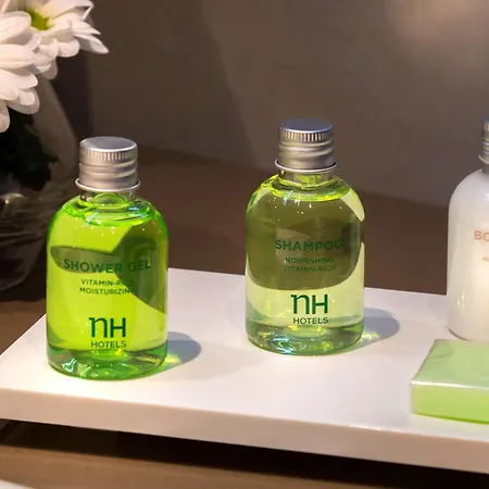 Nh马德里苏尔酒店 4* 马德里