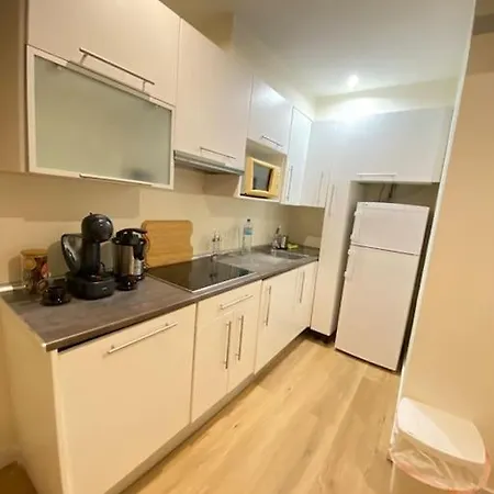 Loft Moderno En El Centro Apartment