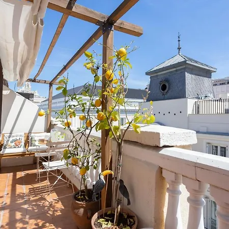 Con Terraza Junto A Sol Appartamento Madrid