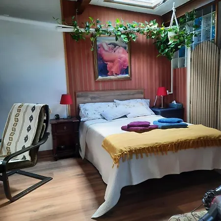 Loft Con Jardin *