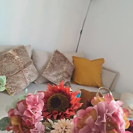 Apartamento Nuevo En El Centro De Lejlighed