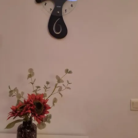 Apartamento Nuevo En El Centro De Lejlighed *