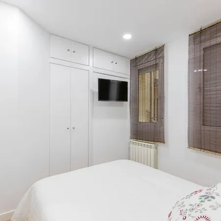 Espectacular Apartamento Plaza Mayor Apartment Madrid