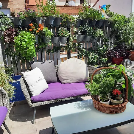 Loft Con Jardin Alloggio in famiglia