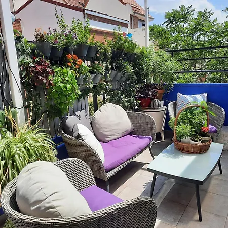 Loft Con Jardin * Madrid